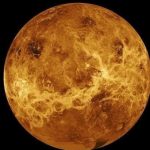 Back to venus