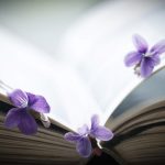 Kağıt ve kitap sanatları müzesi